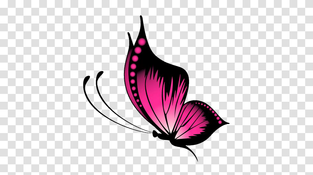 Butterfly Butterfly Images, Plant, Flower, Blossom, Petal Transparent Png