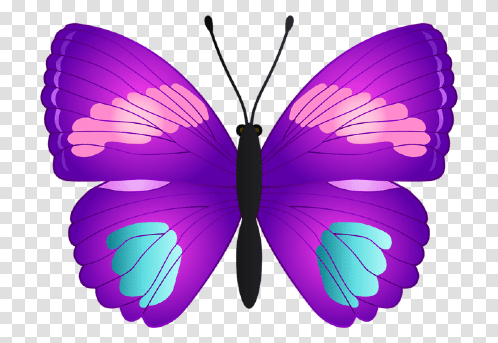 Butterfly Butterfly Pink Teal And Purple, Insect, Invertebrate, Animal, Ornament Transparent Png