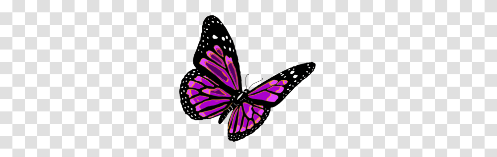 Butterfly Butterfly Purple, Insect, Invertebrate, Animal, Monarch Transparent Png