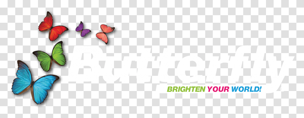 Butterfly Butterfly Stationery Logo, Leaf, Plant, Text, Tree Transparent Png