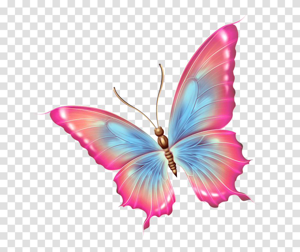 Butterfly Butterfly Tattoo And Moth, Ornament, Pattern, Fractal, Insect Transparent Png