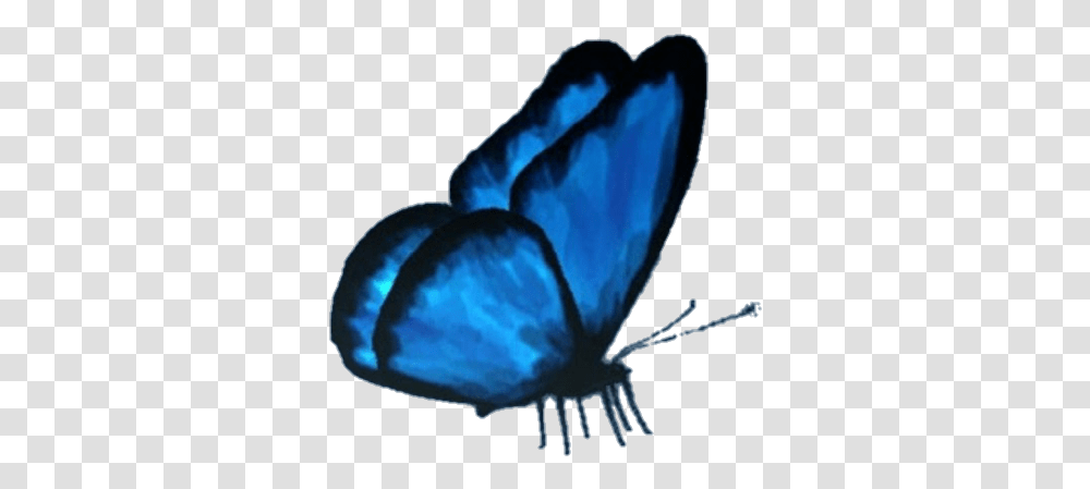 Butterfly Butterflyeffect Lifeisstrange Max Cloe Butterfly Picsart, Insect, Invertebrate, Animal, Moth Transparent Png