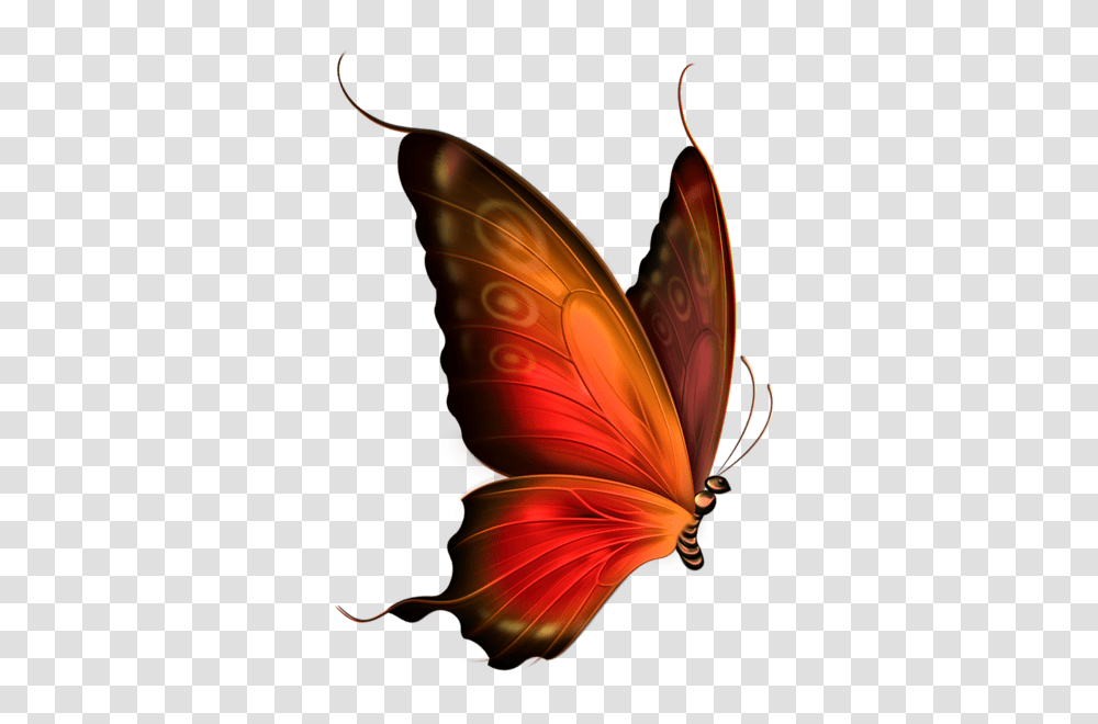 Butterfly Butterflys Dragonflys Butterfly, Ornament, Pattern, Fractal Transparent Png