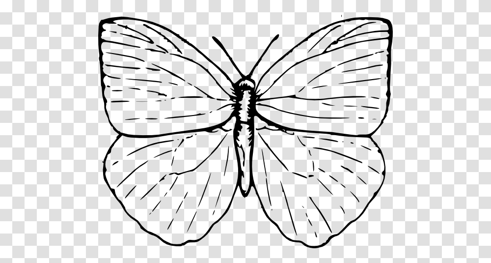 Butterfly Clip Art August, Insect, Invertebrate, Animal, Honey Bee Transparent Png