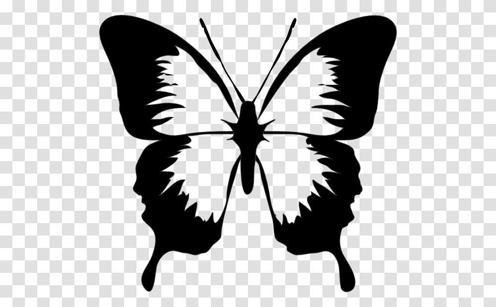 Butterfly Clip Art Cricut Ideas Butterfly Clip Art, Stencil, Person, Human, Silhouette Transparent Png