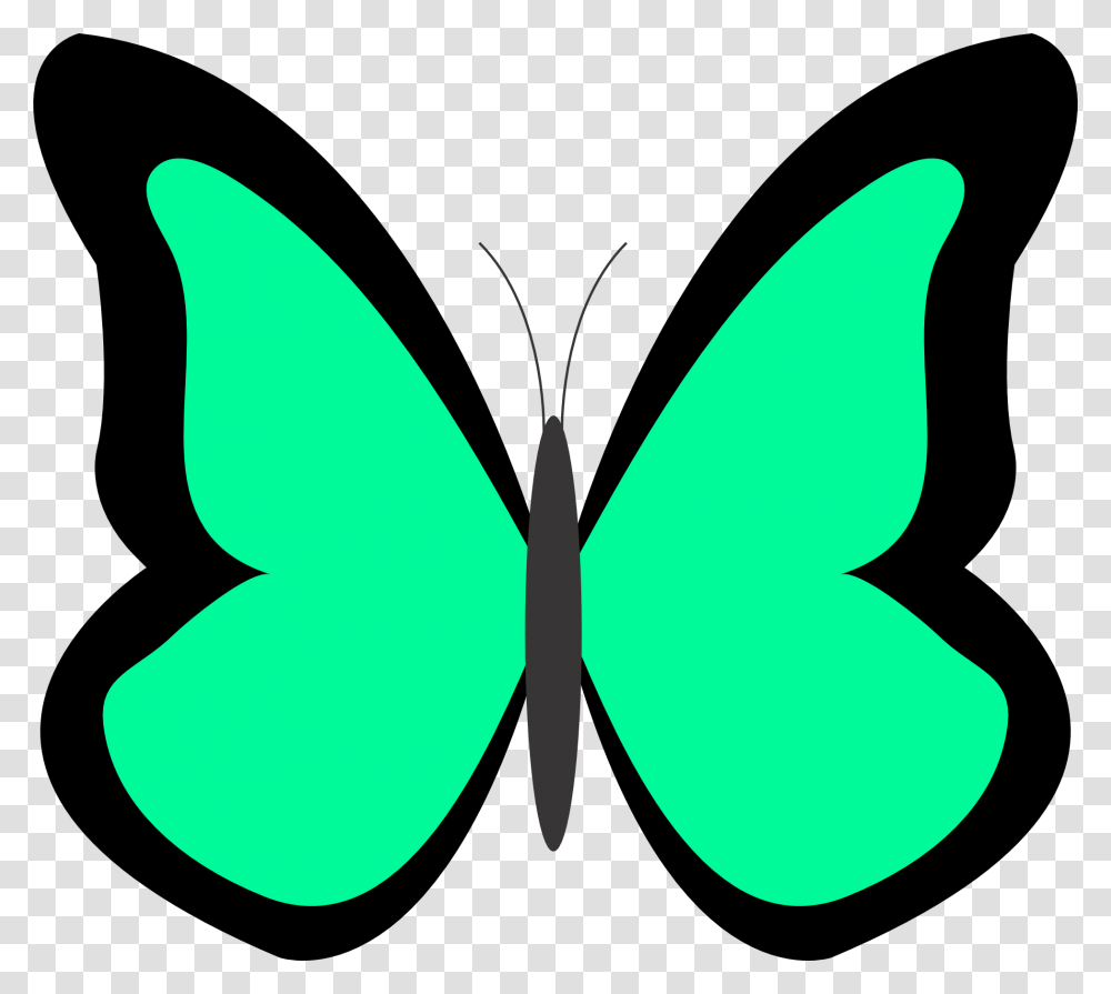 Butterfly Clip Art Image With No Butterfly Spring Clip Art, Pattern, Ornament, Dynamite, Bomb Transparent Png