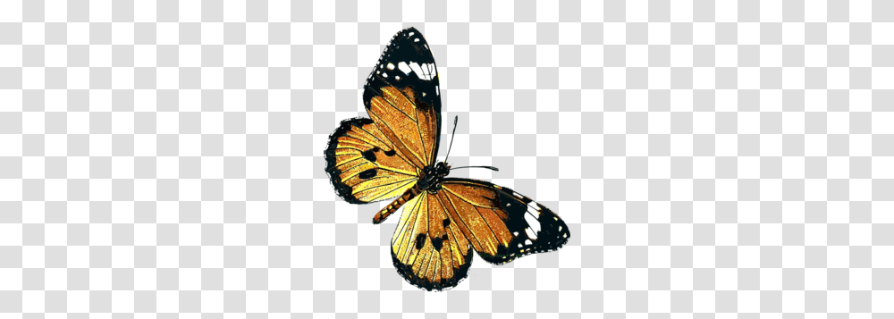 Butterfly Clip Art, Insect, Invertebrate, Animal, Monarch Transparent Png