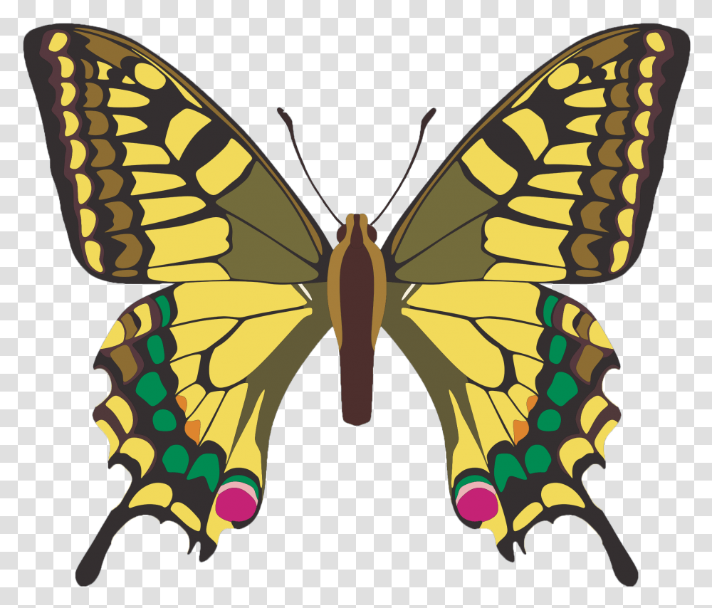 Butterfly Clip Art, Insect, Invertebrate, Animal, Moth Transparent Png