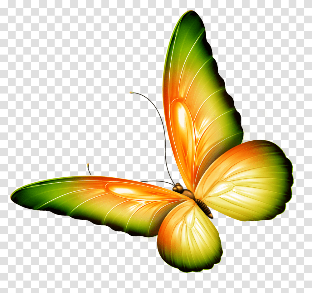 Butterfly Clip Art, Petal, Flower, Plant, Lamp Transparent Png