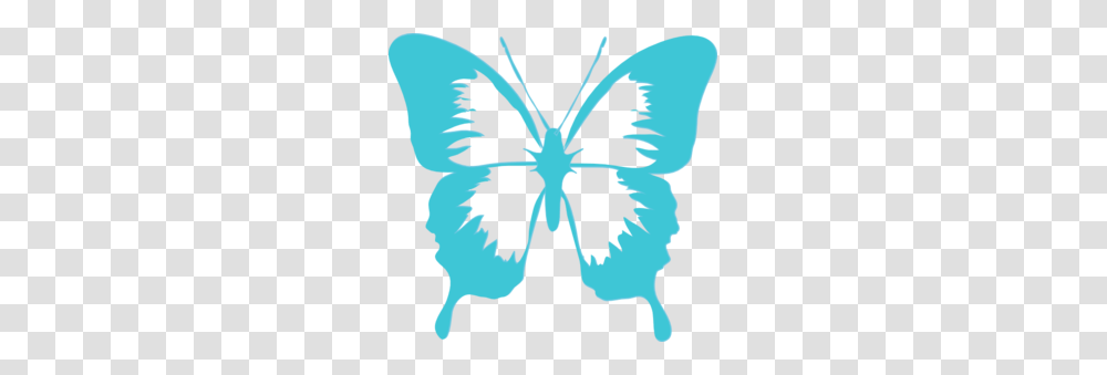 Butterfly Clip Art, Plant, Stencil, Flower, Blossom Transparent Png