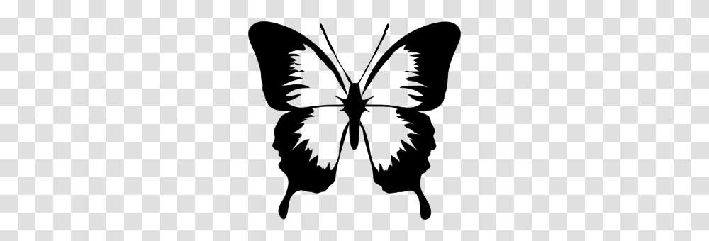 Butterfly Clip Art, Stencil, Bow, Silhouette Transparent Png