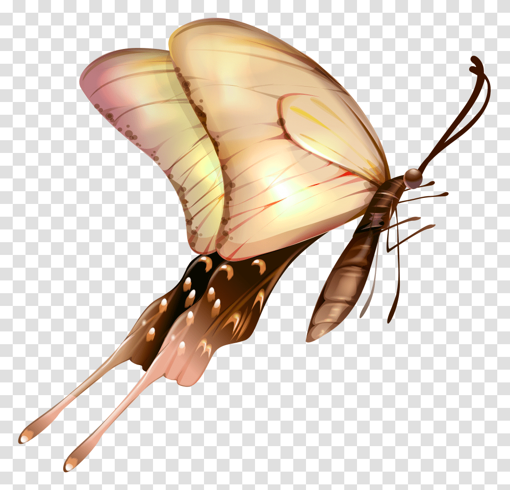 Butterfly Clip Art Transparent Png