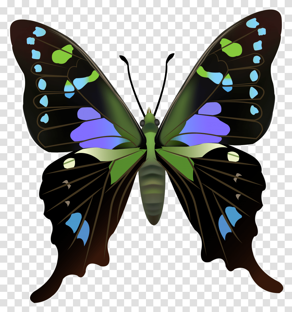 Butterfly Clip Art Transparent Png