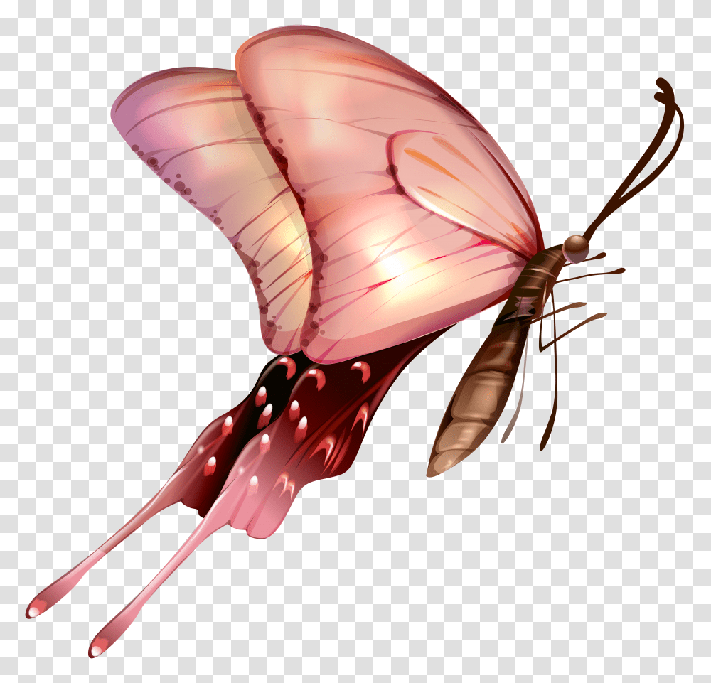 Butterfly Clip Art Transparent Png