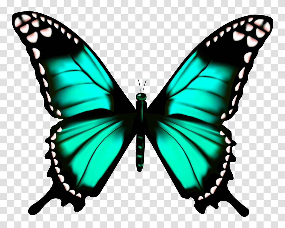 Butterfly Clip Art Transparent Png