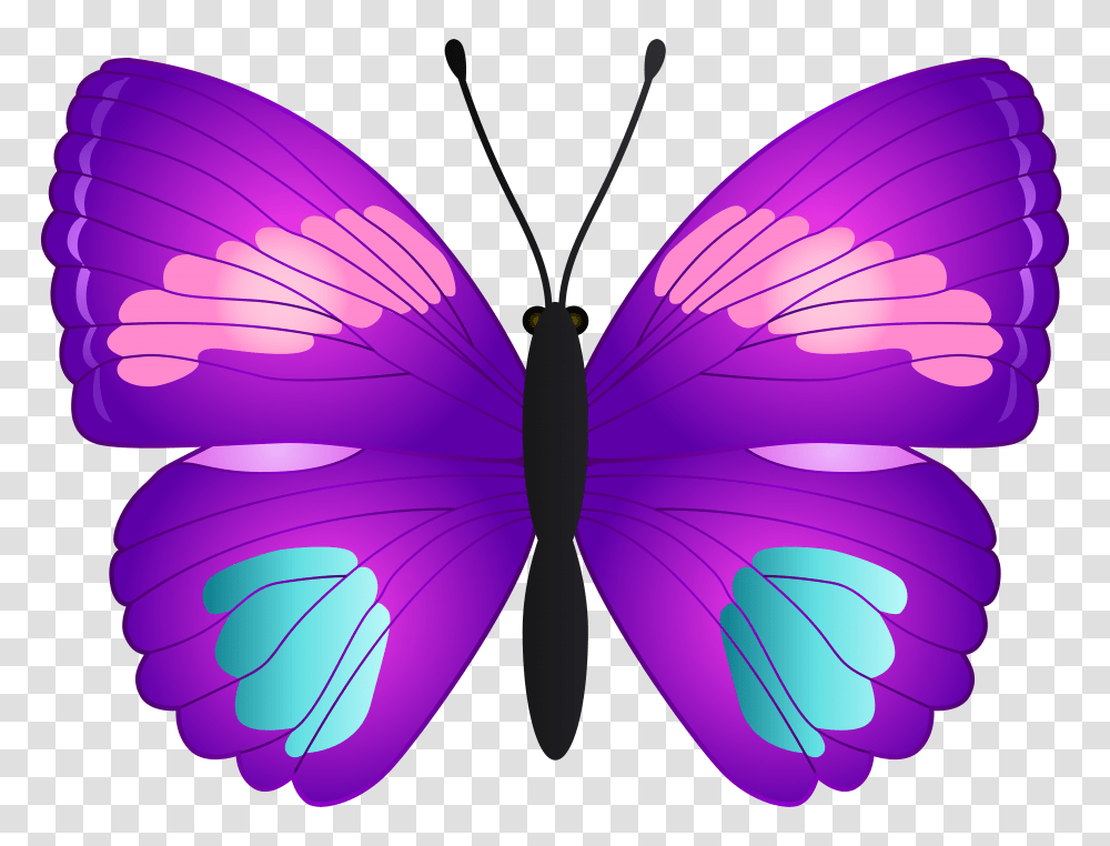 Butterfly Clip, Ornament, Pattern Transparent Png