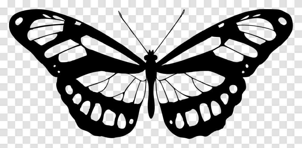 Butterfly Clipart Black And White Butterfly White And Black, Gray, World Of Warcraft Transparent Png