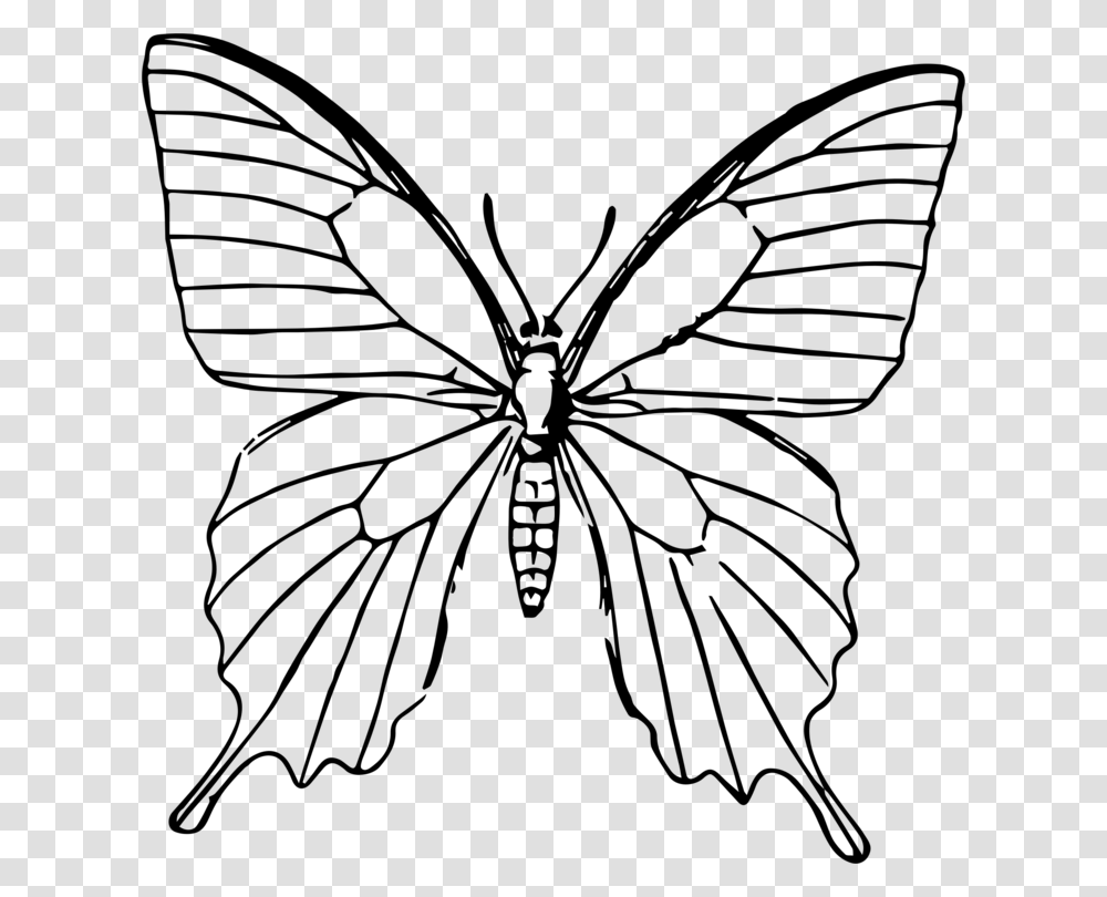 Butterfly Clipart Black And White, Gray, World Of Warcraft Transparent Png