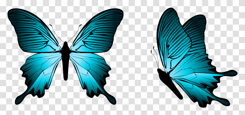 Butterfly Clipart Blue Butterfly, Animal, Invertebrate, Insect, Bird Transparent Png