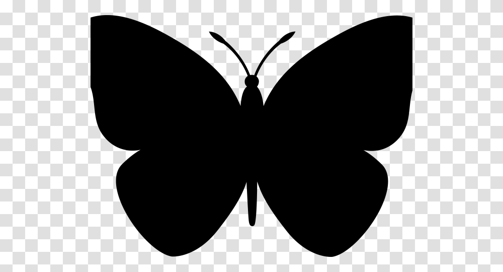 Butterfly Clipart Borders, Gray, World Of Warcraft Transparent Png