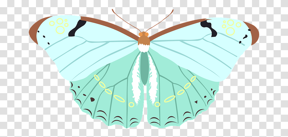 Butterfly Clipart Butterflies, Insect, Invertebrate, Animal, Pattern Transparent Png