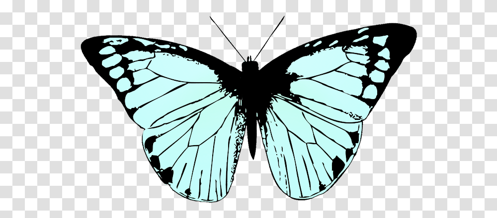 Butterfly Clipart Butterfly Black And White, Insect, Invertebrate, Animal, Spider Transparent Png
