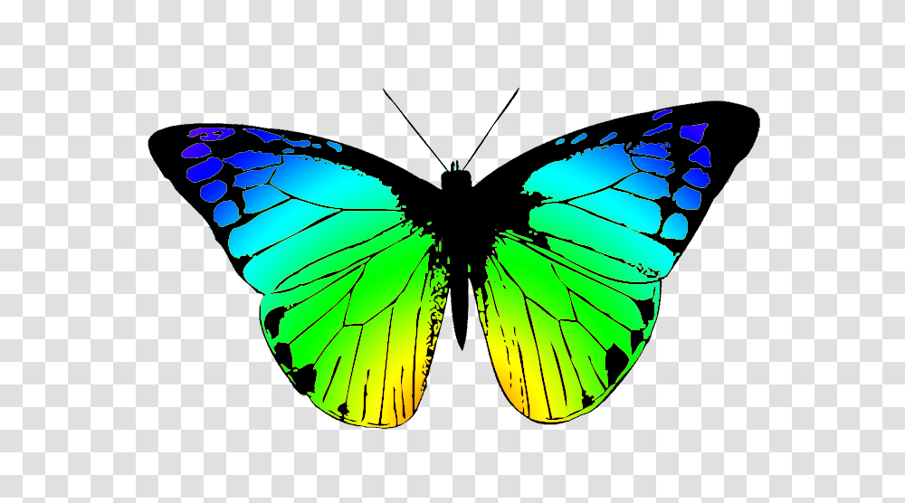 Butterfly Clipart Butterfly Wing, Pattern, Ornament, Fractal, Electronics Transparent Png