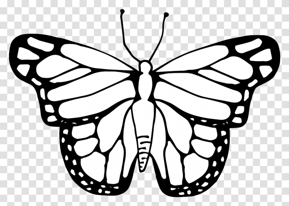 Butterfly Clipart Coloring Worksheets Clipart Image Of A Butterfly, Insect, Invertebrate, Animal, Stencil Transparent Png