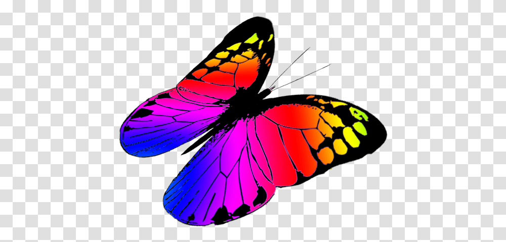 Butterfly Clipart Colourful Butterfly Clipart, Insect, Invertebrate, Animal, Monarch Transparent Png