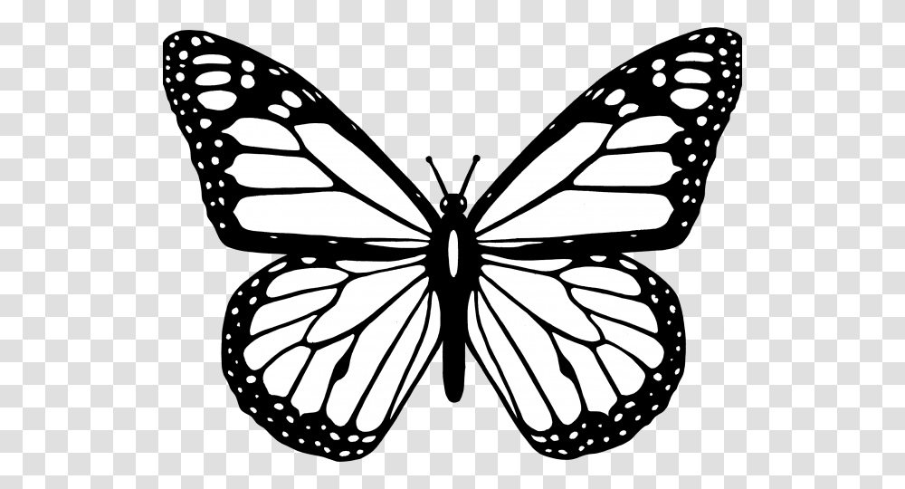 Butterfly Clipart Easy, Stencil, Insect, Invertebrate, Animal Transparent Png