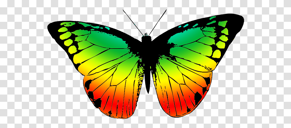Butterfly Clipart Footed Black And White Butterfly, Insect, Invertebrate, Animal, Ornament Transparent Png