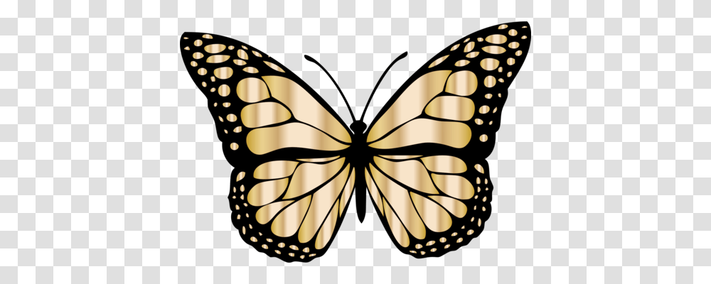 Butterfly Clipart Free Download, Insect, Invertebrate, Animal, Lamp Transparent Png