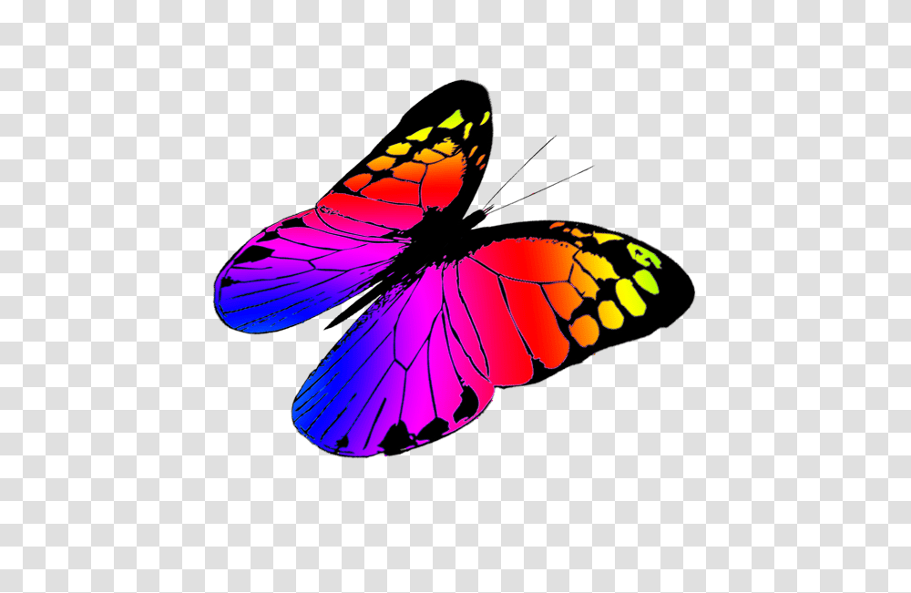 Butterfly Clipart, Insect, Invertebrate, Animal, Monarch Transparent Png