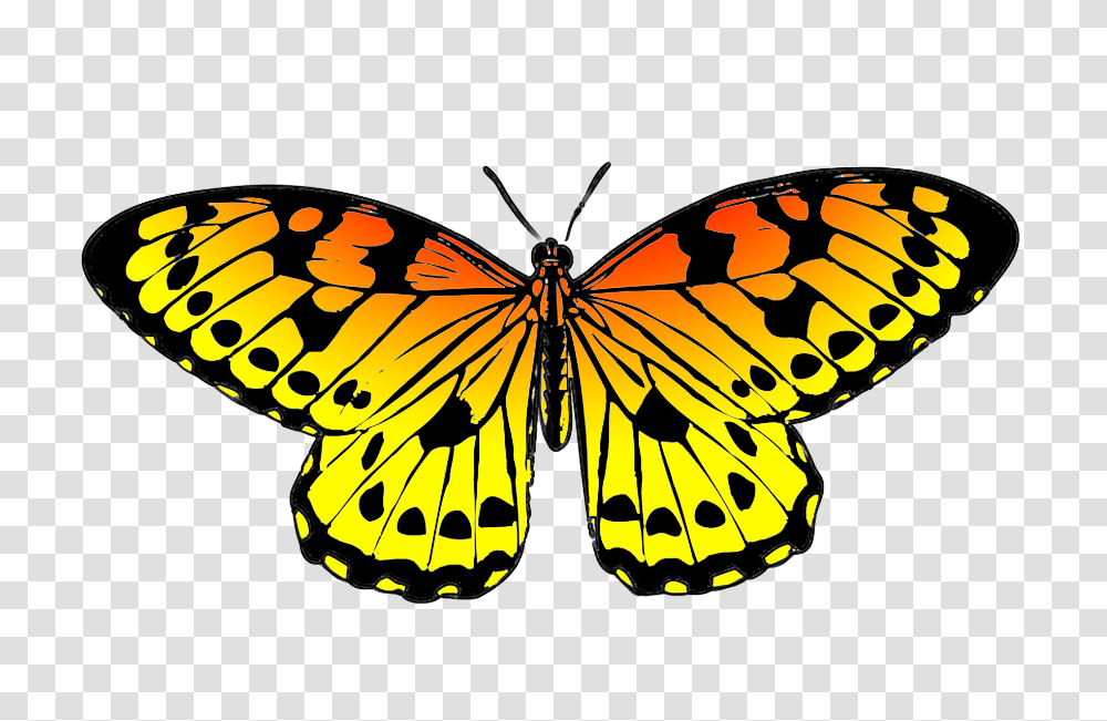 Butterfly Clipart, Insect, Invertebrate, Animal, Monarch Transparent Png