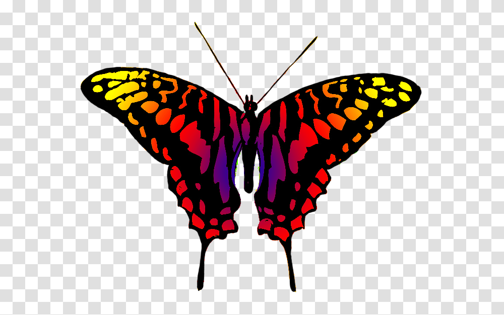 Butterfly Clipart, Insect, Invertebrate, Animal, Pattern Transparent Png