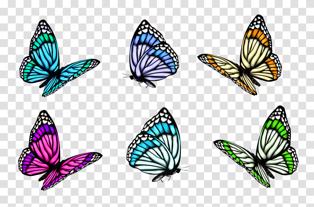 Butterfly Clipart Transparent Png