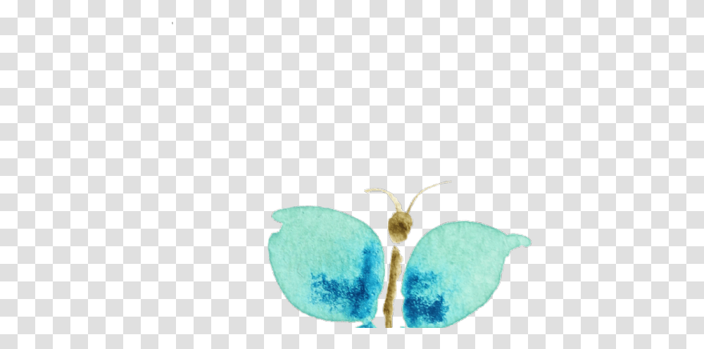 Butterfly Clipart Watercolor Clip Art, Tennis Ball, Sport, Sports, Animal Transparent Png
