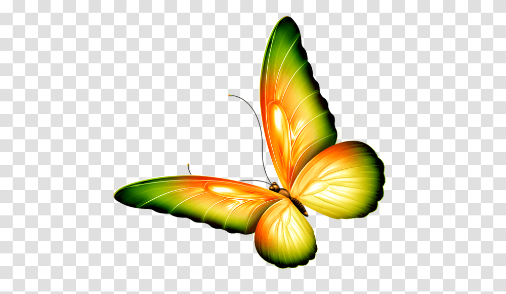 Butterfly Clipart Yellow And Green Butterfly Clipart Background, Lamp, Flower, Plant, Petal Transparent Png