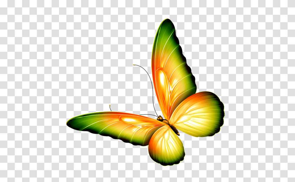 Butterfly Clipart Yellow And Green, Lamp, Floral Design, Pattern Transparent Png