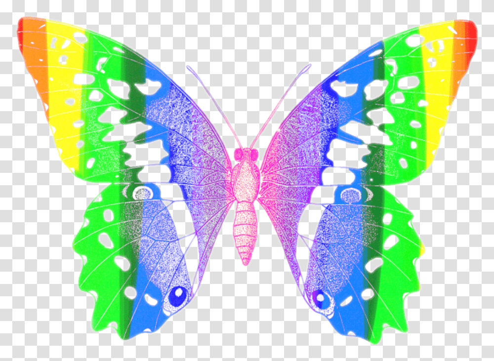 Butterfly Colorful Butterflyeffect Red Orange Papilio Machaon, Insect, Invertebrate, Animal, Pattern Transparent Png