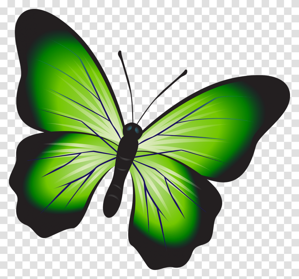 Butterfly Colorful Green Free Photo, Insect, Invertebrate, Animal Transparent Png