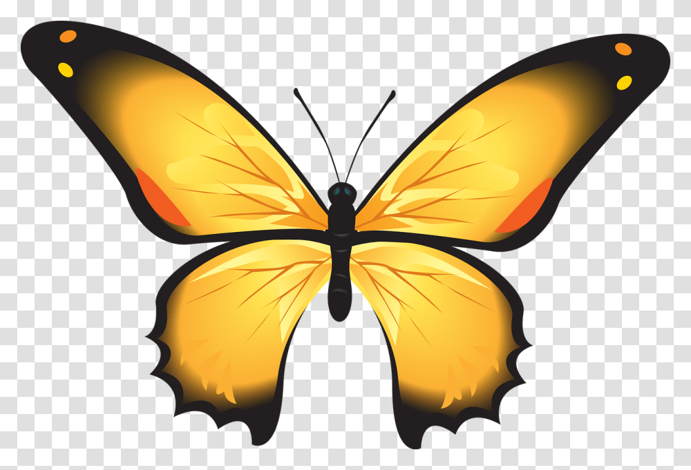 Butterfly Colorful Yellow Insect Decoration, Invertebrate, Animal, Pattern, Ornament Transparent Png