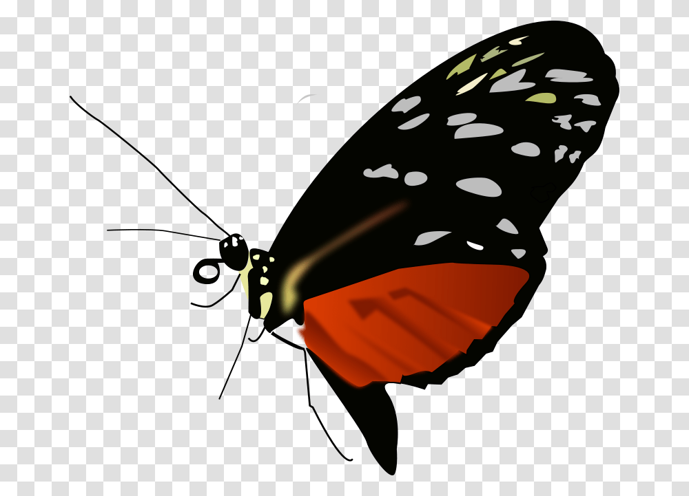 Butterfly Dark, Animals, Insect, Invertebrate, Photography Transparent Png
