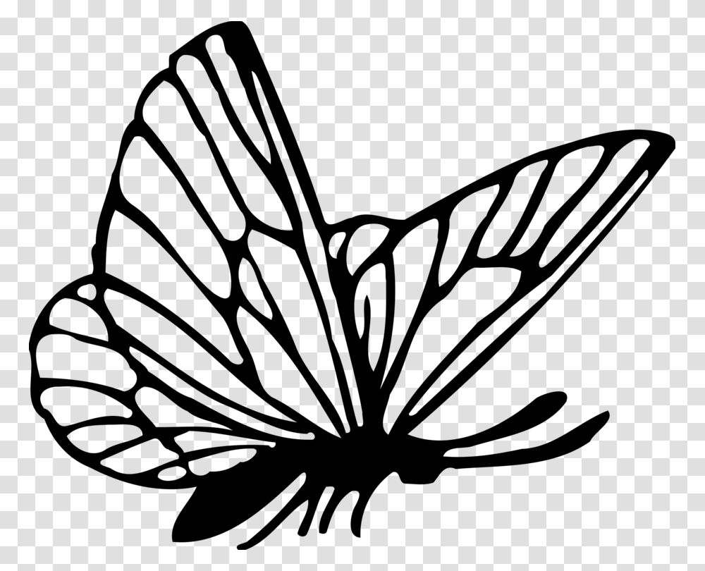Butterfly Drawing Computer Icons Coreldraw Download Free, Gray, World Of Warcraft Transparent Png