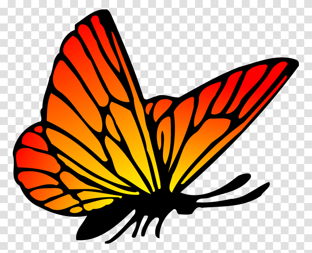 Butterfly Drawing, Flare, Light Transparent Png