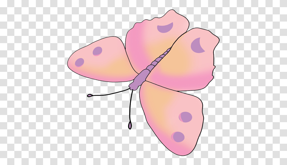 Butterfly Drawing Pink, Sunglasses, Accessories, Accessory, Invertebrate Transparent Png
