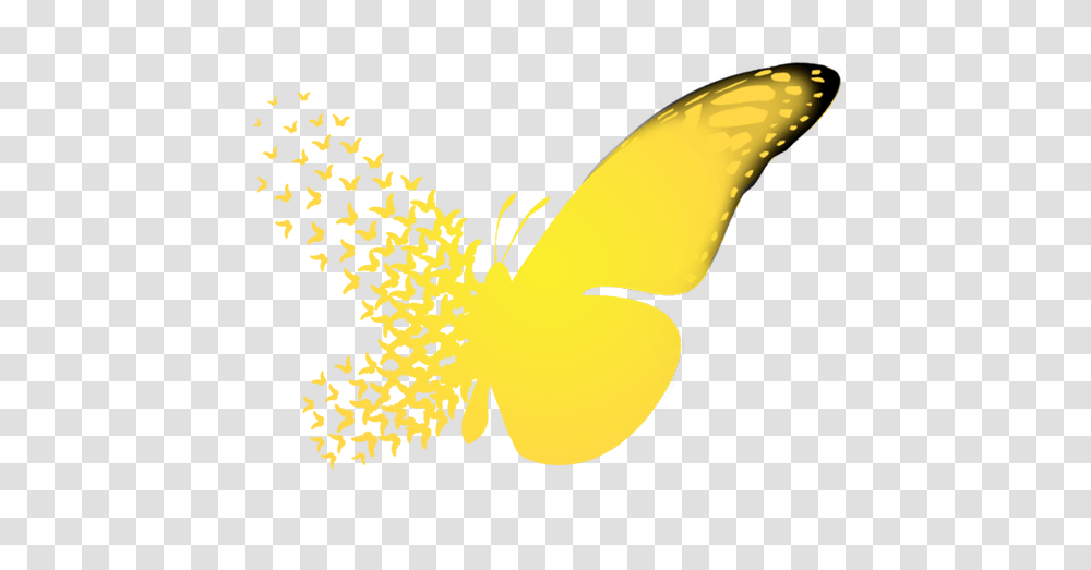 Butterfly Effect Image Butterfly Effect Logo, Banana, Plant, Bird, Animal Transparent Png