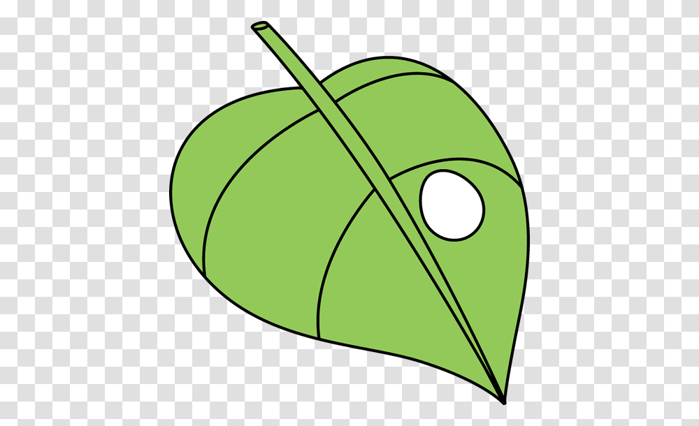 Butterfly Egg On A Leaf Butterfly Butterflies All Just Pretty, Tennis Ball, Sport, Sports, Sphere Transparent Png