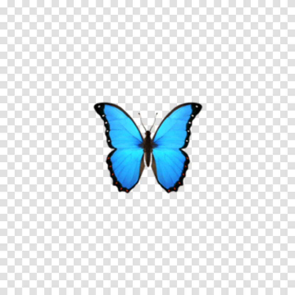 Butterfly Emoji Domain Iphone Ios Butterfly Emoji, Insect, Invertebrate, Animal, Spider Transparent Png