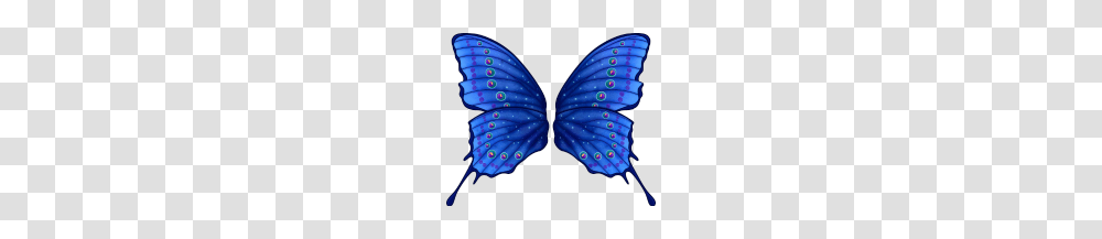 Butterfly Fairy Wings, Ornament, Pattern, X-Ray Transparent Png